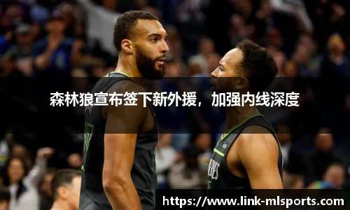 森林狼宣布签下新外援，加强内线深度