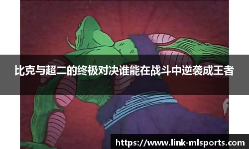 比克与超二的终极对决谁能在战斗中逆袭成王者