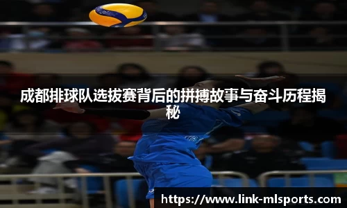 成都排球队选拔赛背后的拼搏故事与奋斗历程揭秘