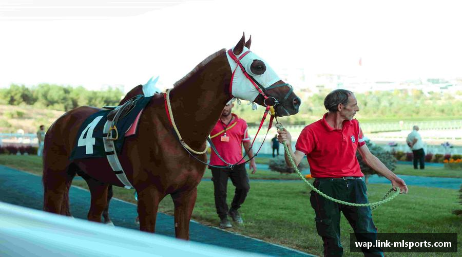 向着梦想的高峰奋进。